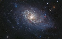 M33