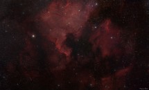 Severní Amerika a Pelikán