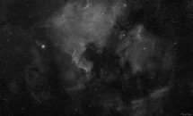 Severní Amerika a Pelikán BW