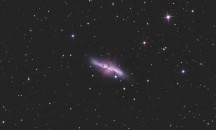 M82