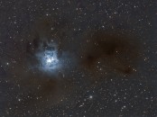 NGC 7023 Iris Nebula